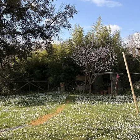 Casa Ceppi Apartmán Colle Val D'Elsa
