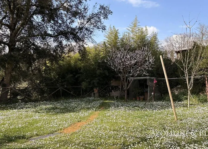Casa Ceppi Apartment Colle Val D'Elsa